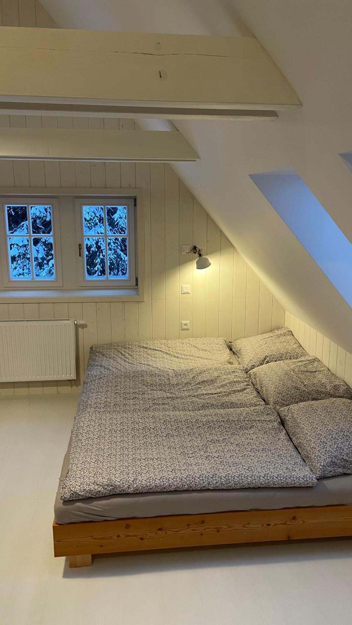 Izerina Cottage Horní Maxov المظهر الخارجي الصورة